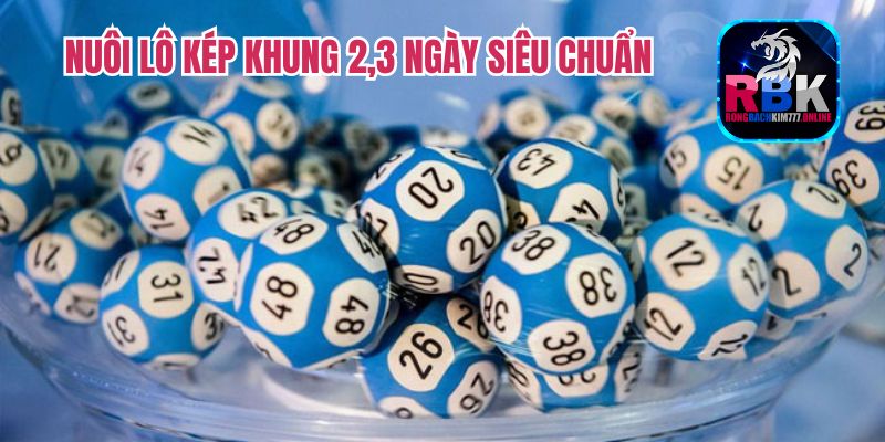 Kinh Nghiệm Nuôi Lô Kép Khung 2, 3 Ngày Siêu Chuẩn