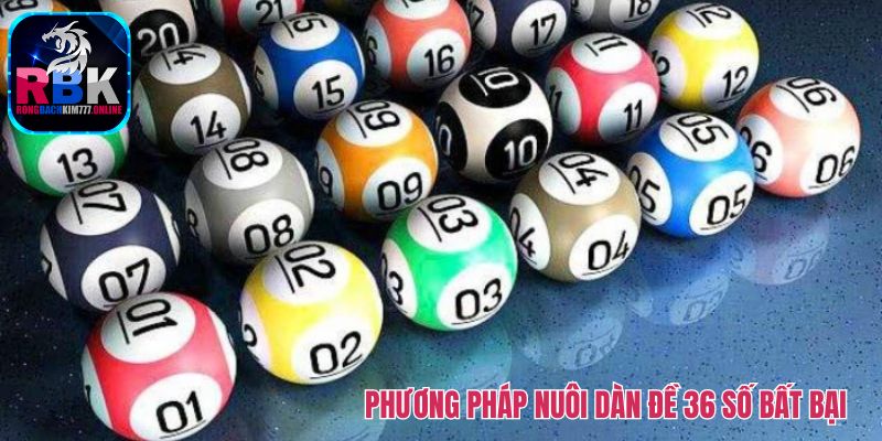 Dàn Đề 36 Số Bất Bại: Kinh Nghiệm Nuôi Chính Xác Từng Ngày