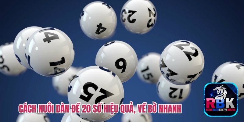 Nuôi Dàn Đề 20 Số - Cách Bắt Dàn Đề Bách Phát Bách Trúng