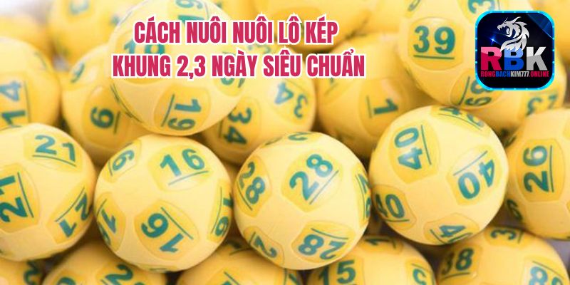 Kinh Nghiệm Nuôi Lô Kép Khung 2, 3 Ngày Siêu Chuẩn