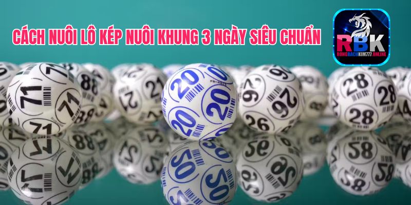 Lô Kép Nuôi Khung 3 Ngày Siêu Chuẩn, Chính Xác 100%