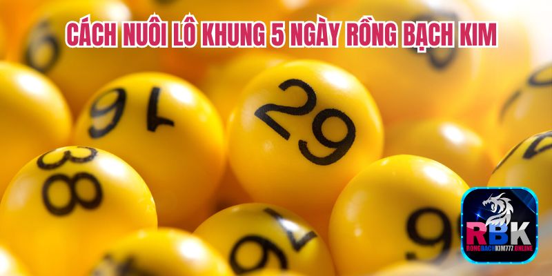 Nuôi Lô Khung 5 Ngày Rồng Bạch Kim Chỉ Lãi Không Lỗ