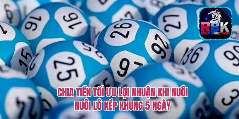 Nuôi Lô Kép Khung 5 Ngày: List Số Chuẩn Từ Cao Thủ