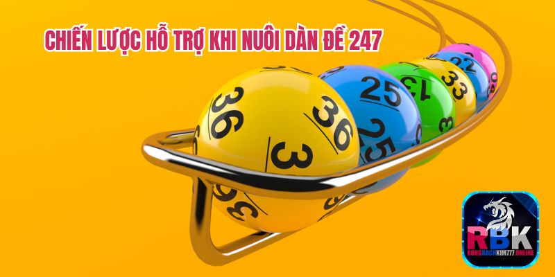 Nuôi Dàn Đề 247 Siêu Chuẩn - Chiến Thắng Đều Đều