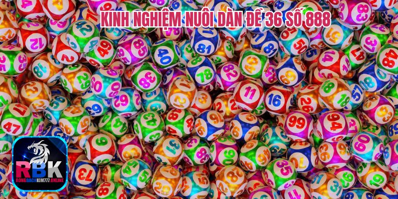 Thủ Thuật Nuôi Dàn Đề 36 Số 888 Đánh Thắng Quanh Năm