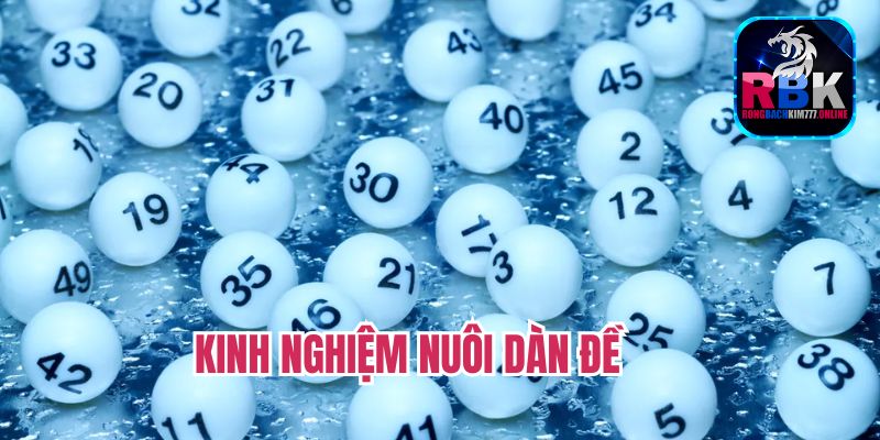 Dàn Đề - Mẹo Nuôi Dàn Đề Bất Tử Trong Mọi Tình Huống