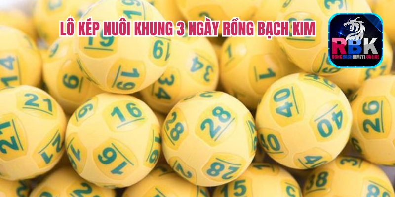 Soi Cầu Lô Kép Nuôi Khung 3 Ngày Rồng Bạch Kim AE Nên Biết