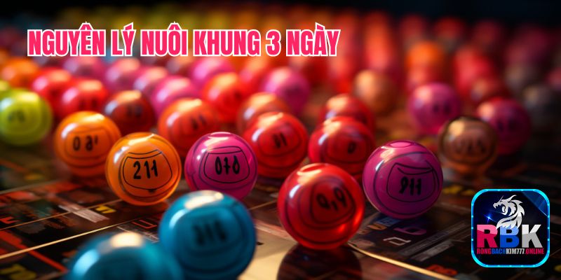 Nuôi Lô Khung 3 Ngày: Giờ Vàng Chốt Số Đẹp Bội Thu 