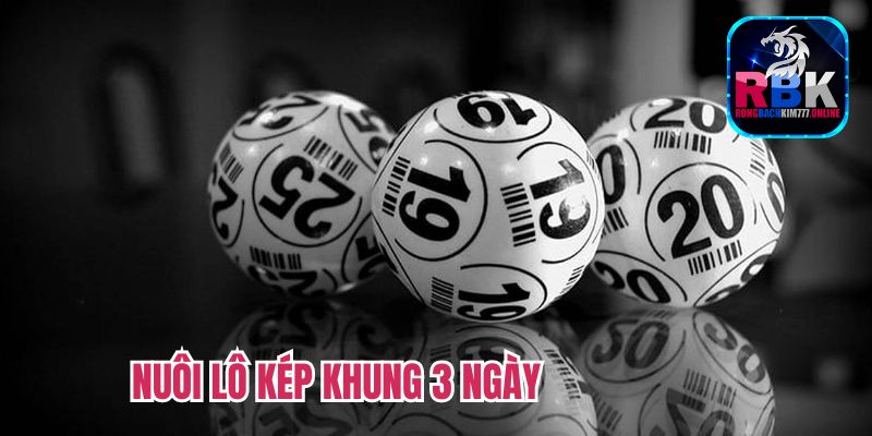 Đẳng Cấp Nuôi Lô Kép Khung 3 Ngày Chính Xác, Bất Bại 