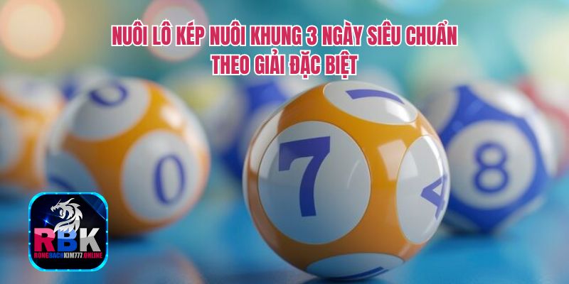 Lô Kép Nuôi Khung 3 Ngày Siêu Chuẩn, Chính Xác 100%