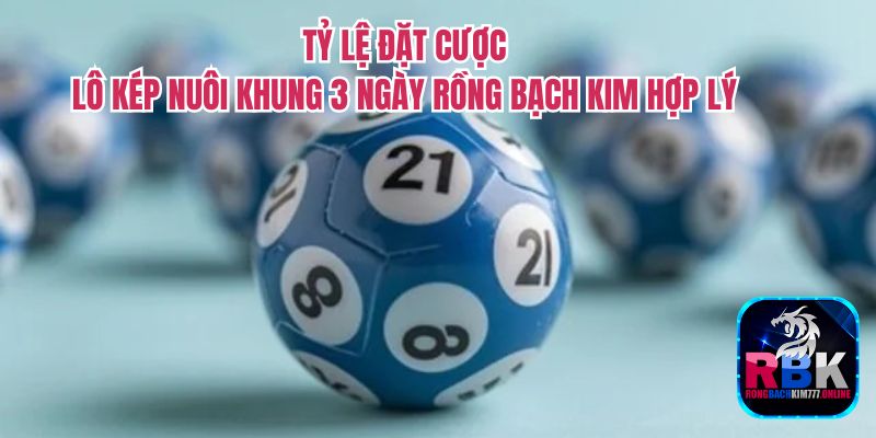 Soi Cầu Lô Kép Nuôi Khung 3 Ngày Rồng Bạch Kim AE Nên Biết