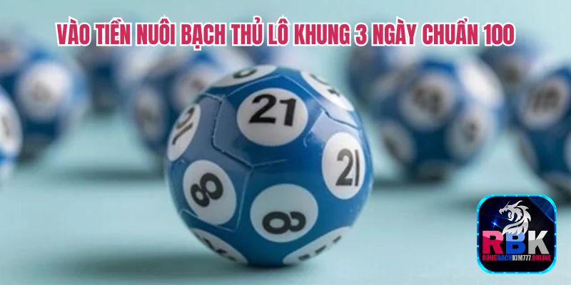 Bạch Thủ Lô Khung 3 Ngày Chuẩn 100: Soi Cầu Chuẩn Xác 