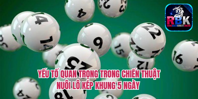 Nuôi Lô Kép Khung 5 Ngày: List Số Chuẩn Từ Cao Thủ