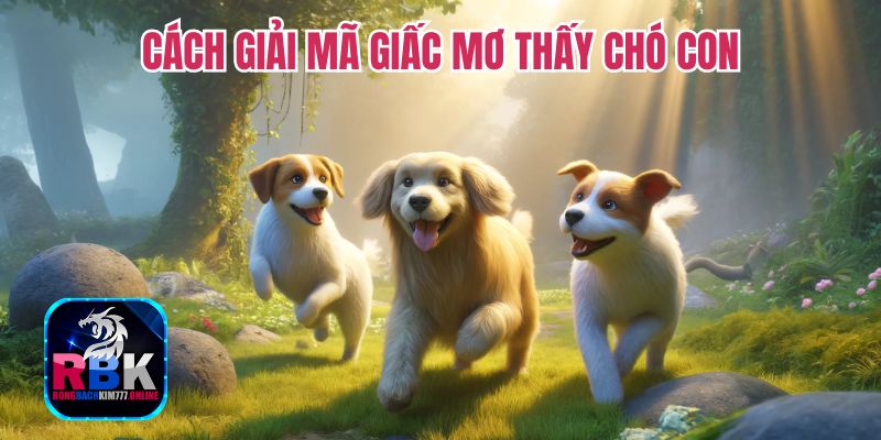 Lý Giải Ý Nghĩa Nằm Mơ Thấy Chó Con Và Những Con Số May Mắn