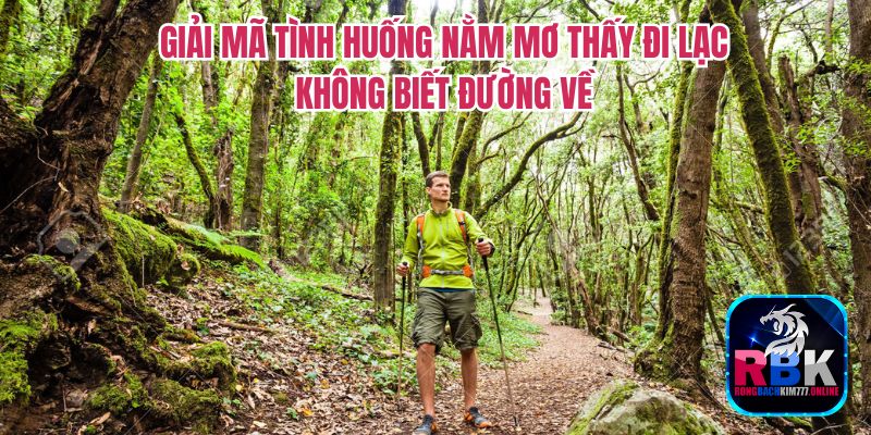 Giải Mã Chi Tiết Nằm Mơ Thấy Đi Lạc Không Biết Đường Về