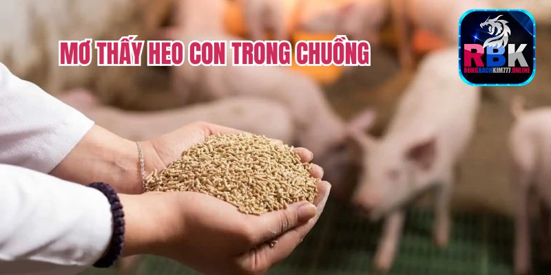 Điềm Báo Nằm Mơ Thấy Heo Con Đánh Số Gì May Mắn