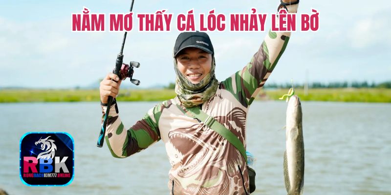 Điềm Báo Nằm Mơ Thấy Cá Lóc - Nên Đánh Số Mấy? 