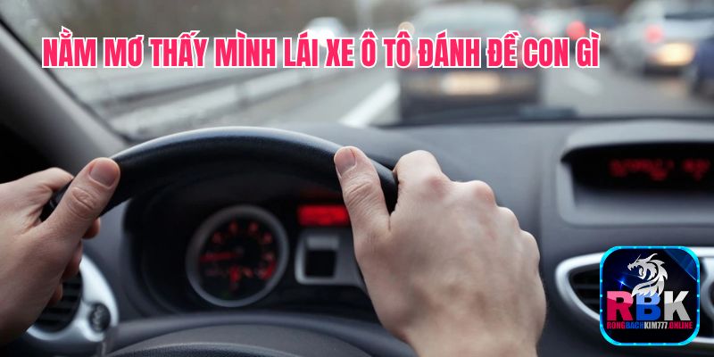 Giải Mã Nằm Mơ Thấy Mình Lái Xe Ô Tô Đánh Đề Con Gì? 