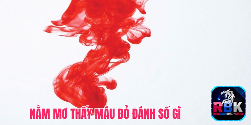 Nằm Mơ Thấy Máu Đỏ Đánh Số Gì? Giàu Lên Nhờ Lô Đề