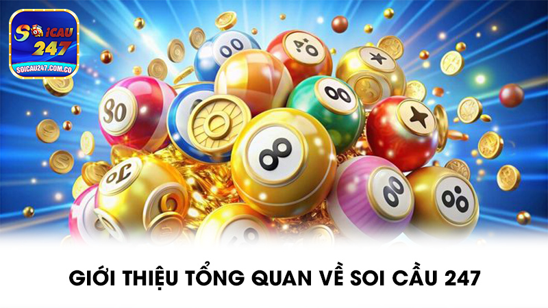 Soi cầu 247 - Dự đoán xổ số miền Bắc, Trung, Nam hôm nay