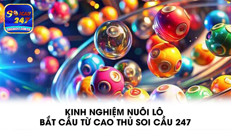 Soi cầu 247 - Dự đoán xổ số miền Bắc, Trung, Nam hôm nay