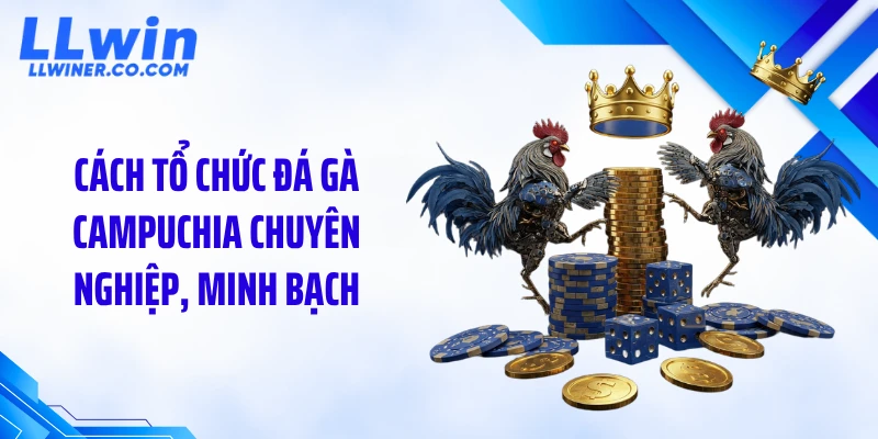 Đá Gà Campuchia LLWIN: Sức Hút Và Quy Trình Tổ Chức Chuyên Nghiệp Cách tổ chức đá gà Campuchia chuyên nghiệp, minh bạch