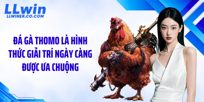 Đá Gà Thomo: Hé Lộ Trận Đấu Đỉnh Cao Ít Người Biết Đá gà Thomo là hình thức giải trí ngày càng được ưa chuộng