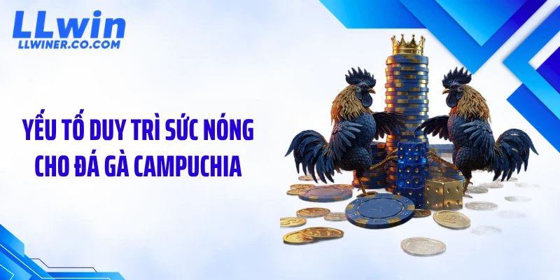 Đá Gà Campuchia LLWIN: Sức Hút Và Quy Trình Tổ Chức Chuyên Nghiệp Yếu tố duy trì sức nóng cho đá gà Campuchia